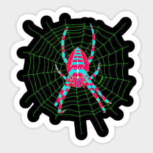 European garden spider (Araneus diadematus) Sticker